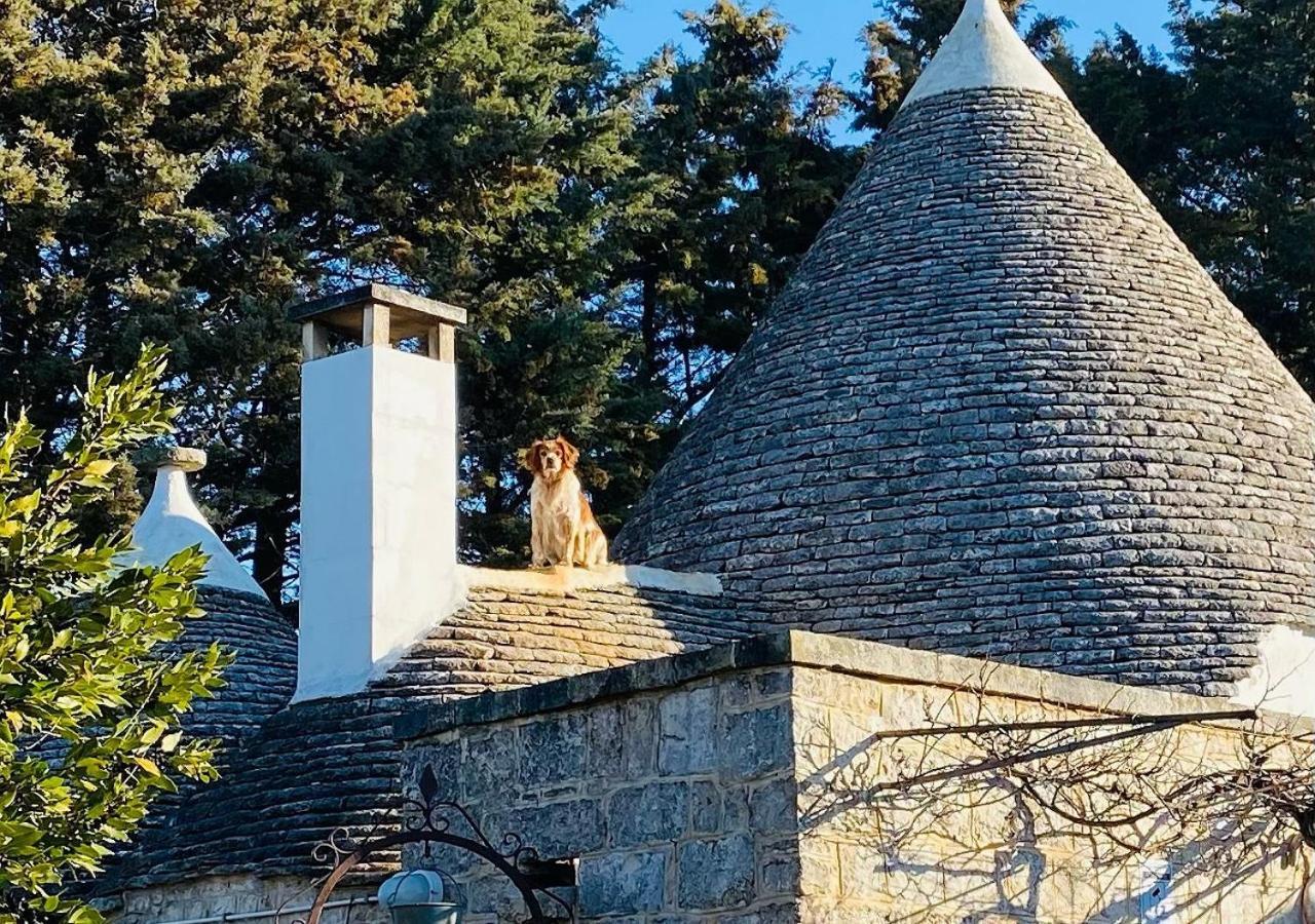 L'Eremo Apartment Alberobello Luaran gambar